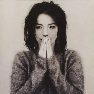 Björk - Debut