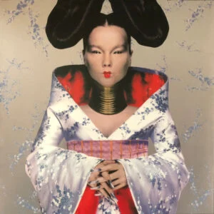 Björk - Homogenic