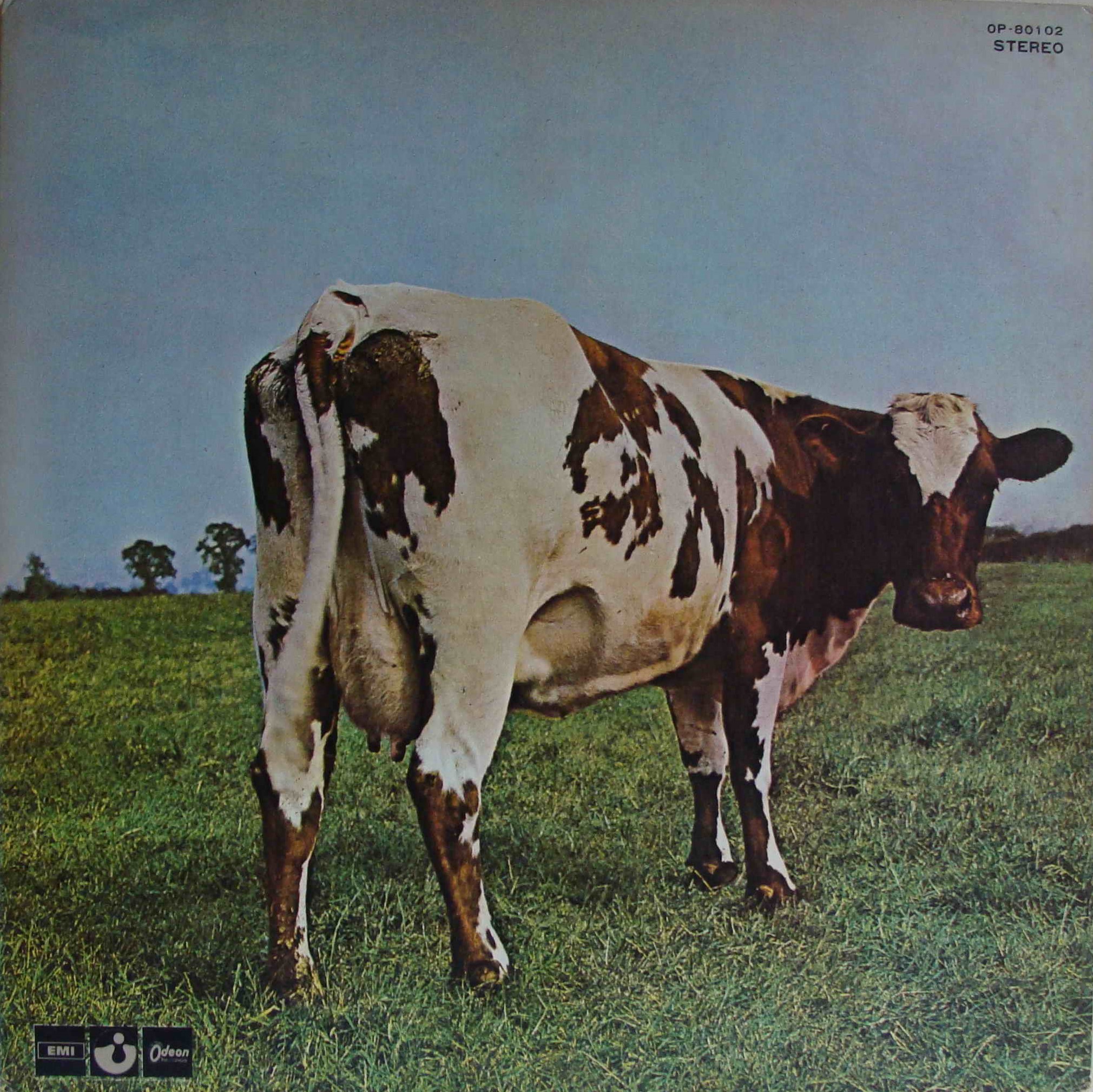 pink floyd- atom heart mother cover image