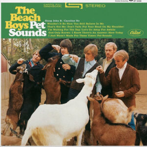 The Beach Boys - Pet Sounds Stereo